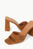 TAN
