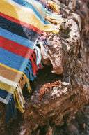 Image STAUD x BUSINESS & PLEASURE CO. BEACH TOWEL | MARKET STRIPE 5 of 7