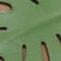 Close-up of green slide sandal with leaf cutout design