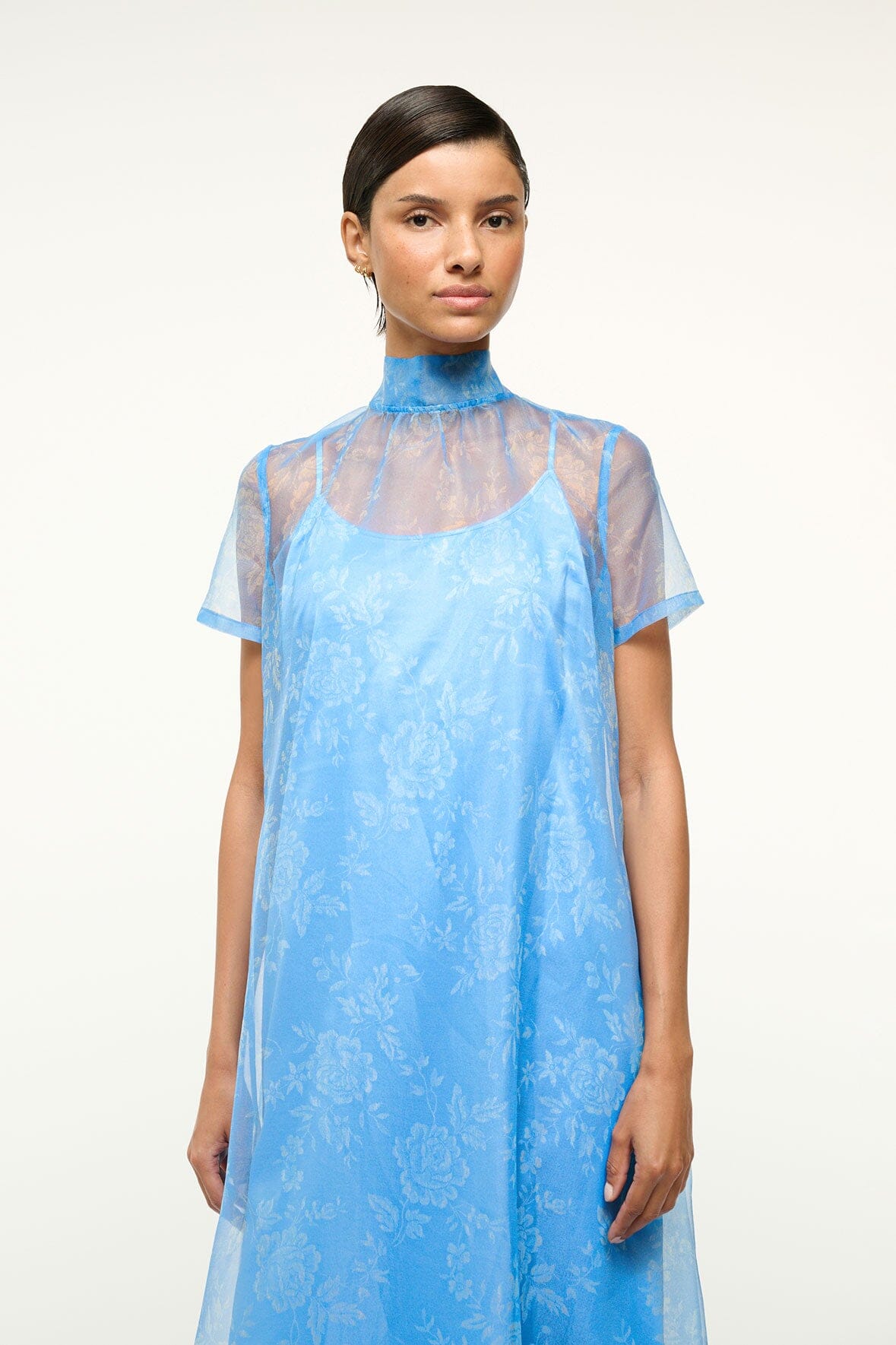 Image CALLUNA DRESS | BLUE ROSE 2 of 4 and Clicking this image will trigger a zoom pop-up