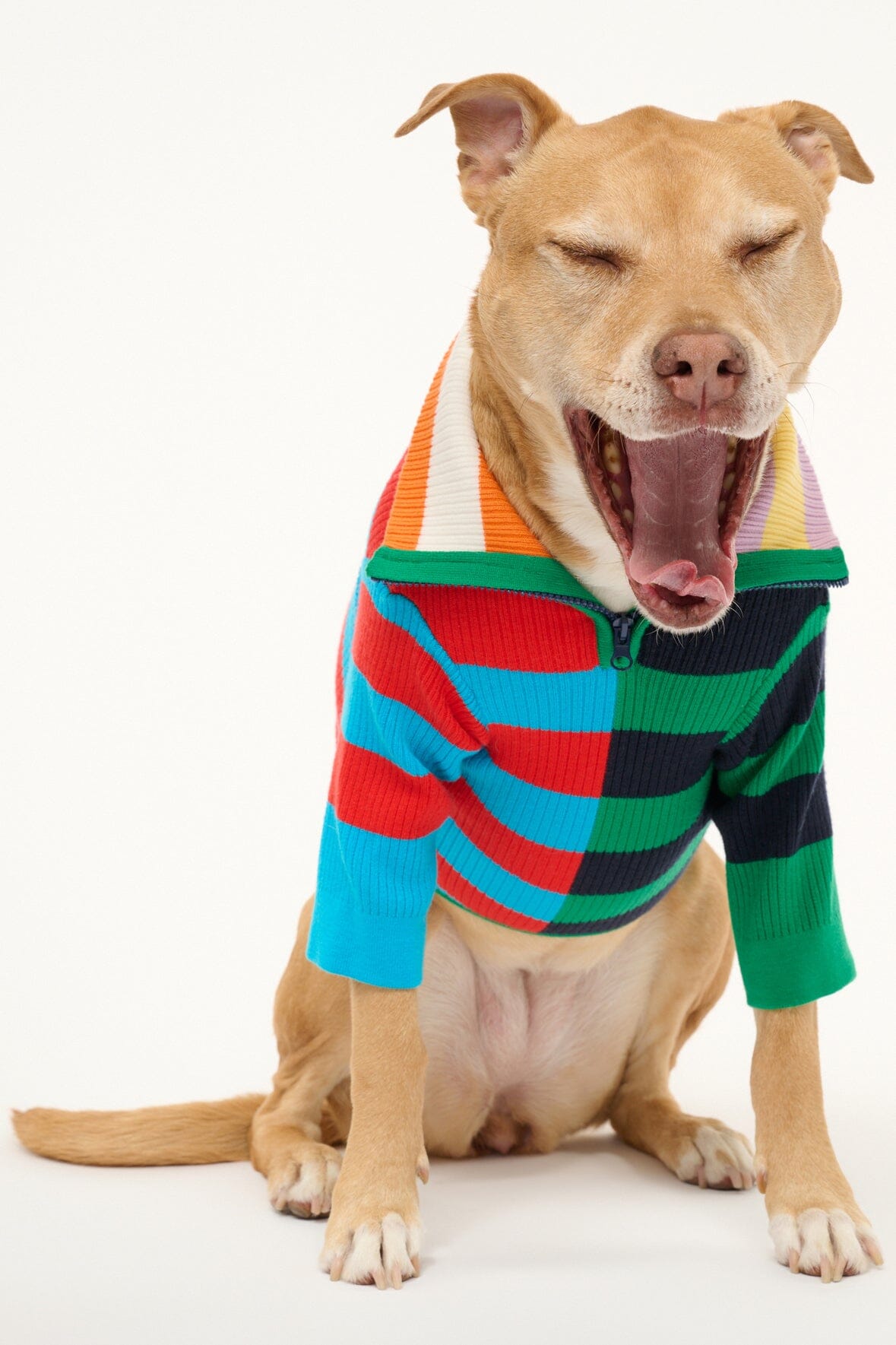 PET HAMPTON SWEATER CABANA STRIPE MULTI