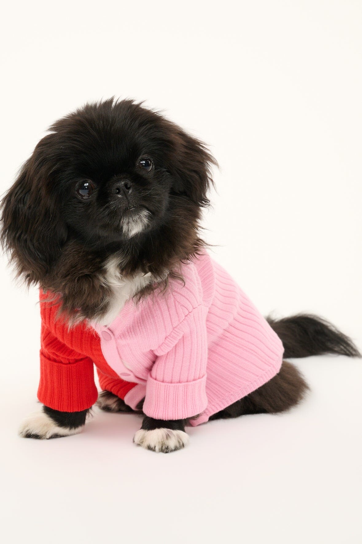 PET SHOKO SWEATER POPPY ROSEBUD