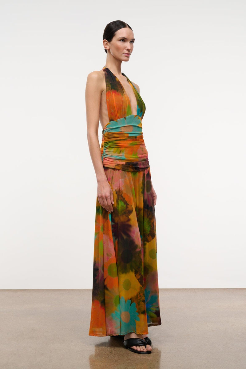 Alessandra Dress Superbloom