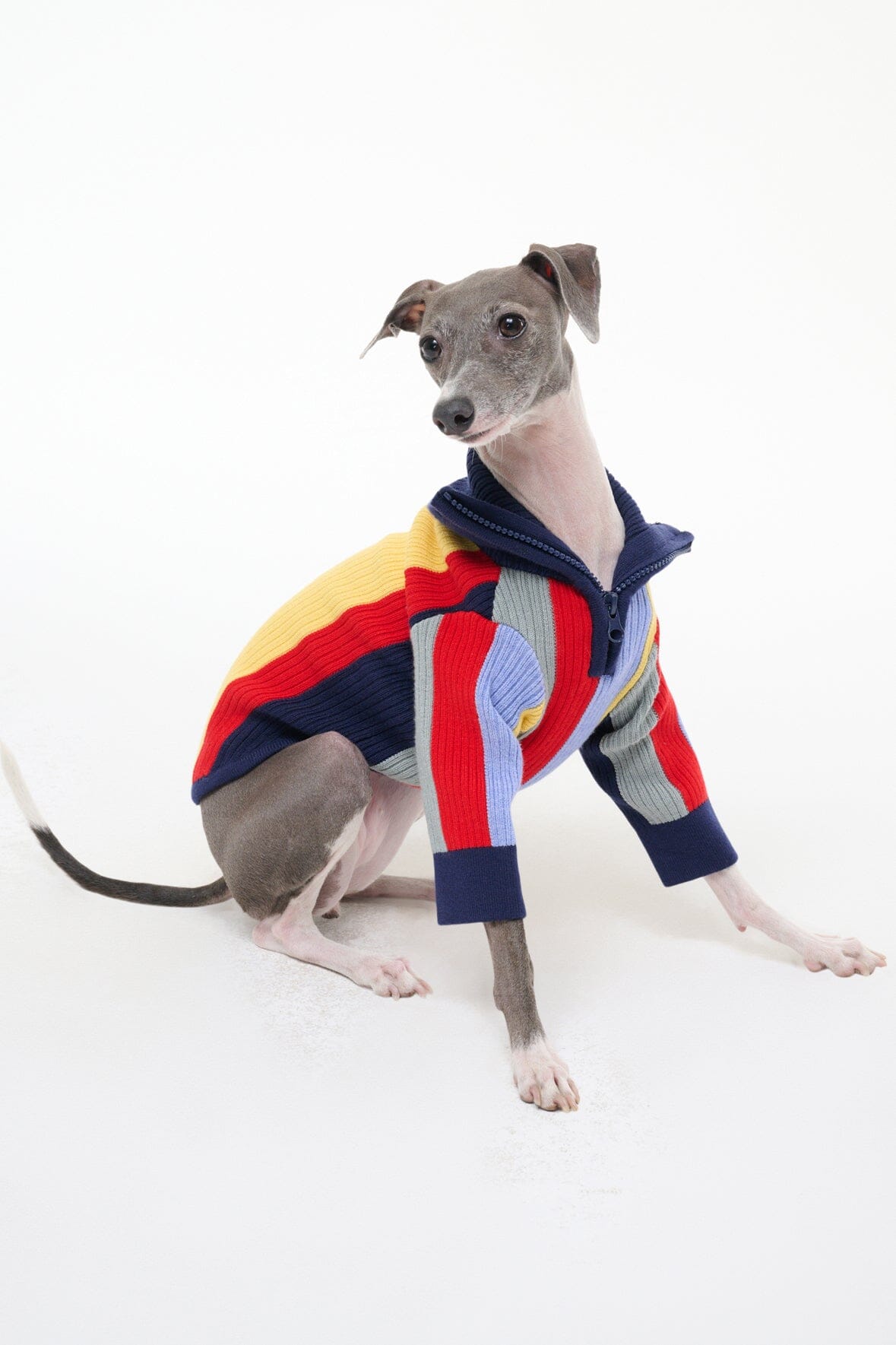 PET HAMPTON SWEATER MARKET STRIPE