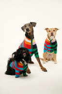 <p>We turned our best-selling Hampton and Shoko sweaters into styles your pet can wear alongside you.</p>