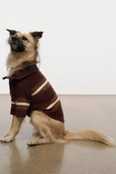 PET HAMPTON SWEATER | TOBACCO STRIPE