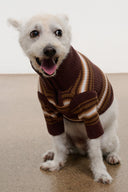 PET HAMPTON SWEATER | TOBACCO STRIPE
