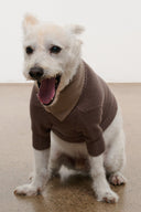 PET WINSTON SWEATER | SESAME