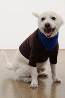 PET WINSTON SWEATER | EARTH MULTI