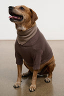 PET WINSTON SWEATER | SESAME