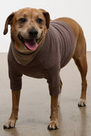 PET WINSTON SWEATER | SESAME