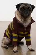 Brown knit pet sweater with multicolor stripes and zip neck, worn by dog.