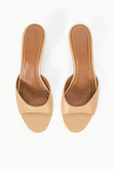 Image BRIGITTE MULE | PORCINI 8 of 8