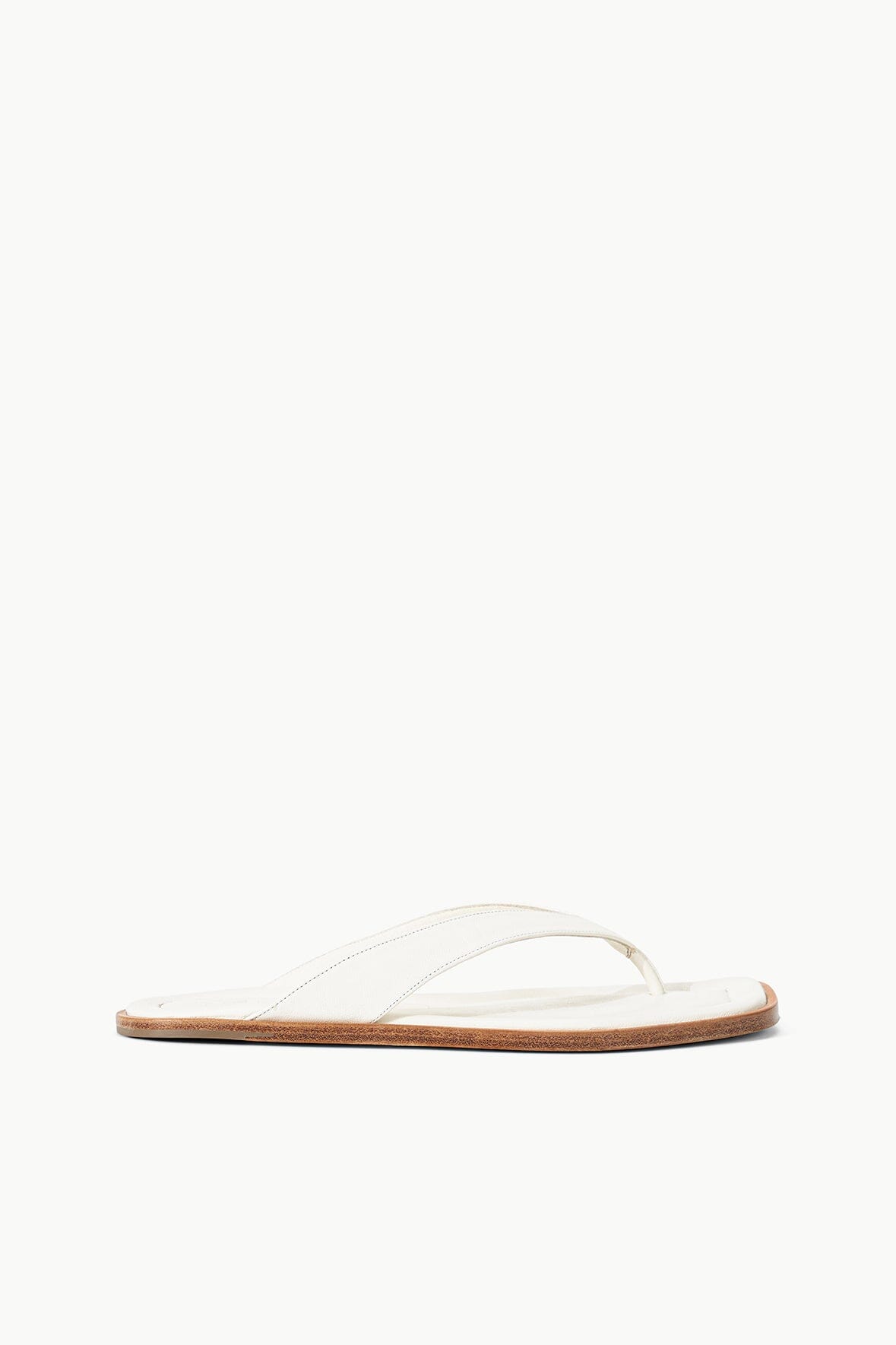 DANTE THONG SLIDE PAPER
