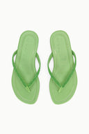 Image FREJA THONG | MEADOW 7 of 7