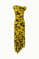 GOLDEN DAISY