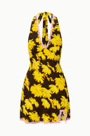 GOLDEN DAISY
