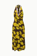 GOLDEN DAISY