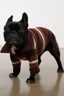 PET HAMPTON SWEATER | TOBACCO STRIPE