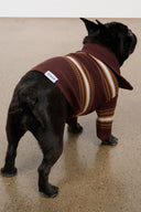 PET HAMPTON SWEATER | TOBACCO STRIPE