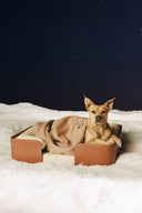 Image PET BED | CREAM TAN 2 of 6