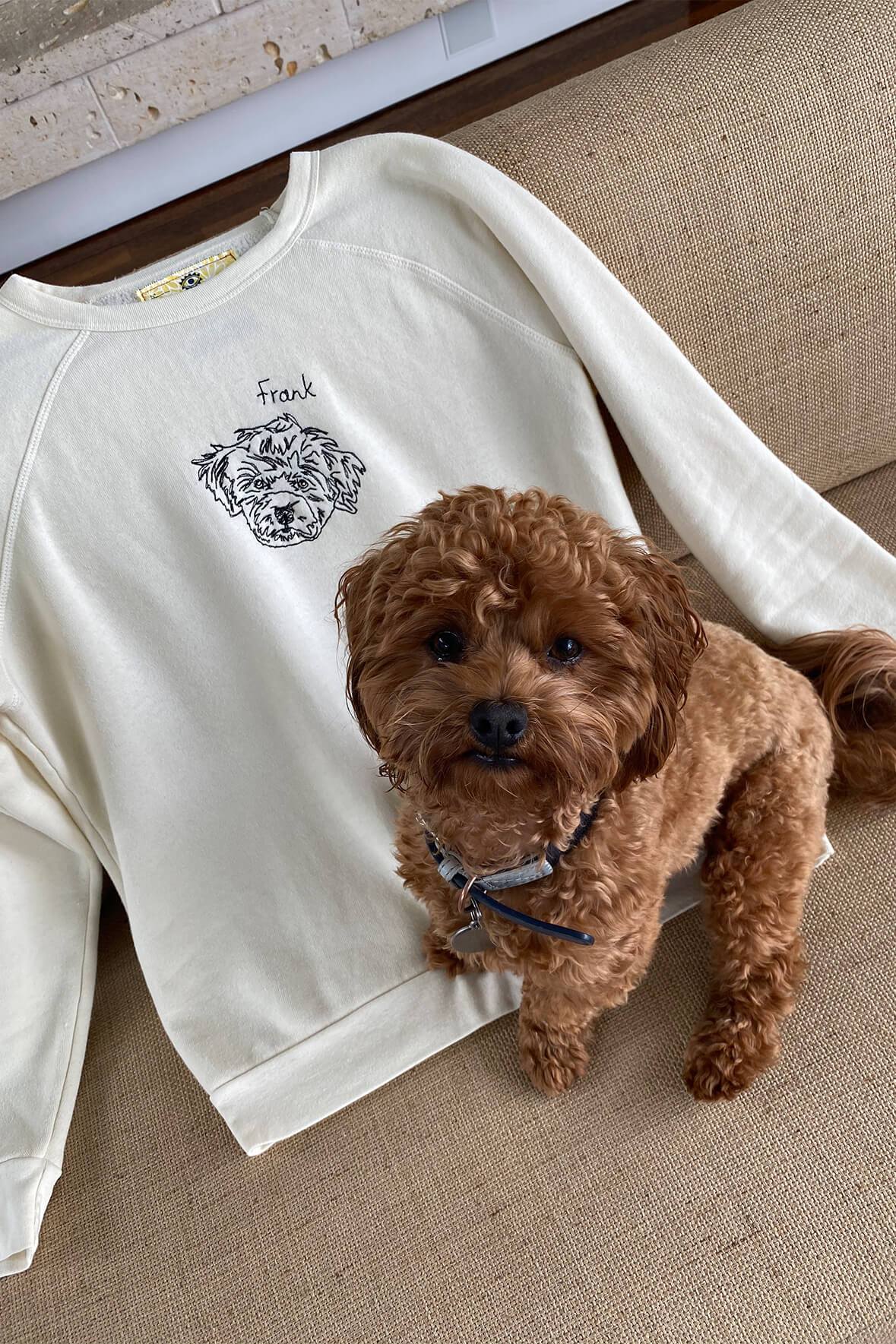 Custom pet embroidered discount sweatshirt